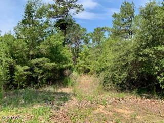Lot #7 Sharlene Ln Inlet Beach Inlet Beach, FL 32461 - Photo 2 of 19