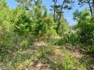Lot #7 Sharlene Ln Inlet Beach Inlet Beach, FL 32461 - Photo 4 of 19