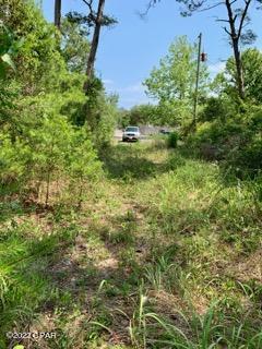 Lot #7 Sharlene Ln Inlet Beach Inlet Beach, FL 32461 - Photo 5 of 19