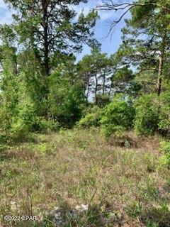 Lot #7 Sharlene Ln Inlet Beach Inlet Beach, FL 32461 - Photo 6 of 19