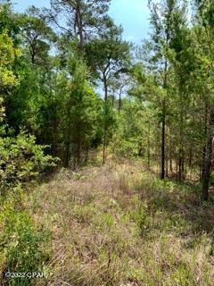 Lot #7 Sharlene Ln Inlet Beach Inlet Beach, FL 32461 - Photo 7 of 19