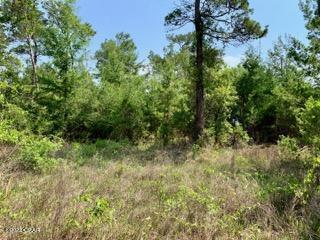 Lot #7 Sharlene Ln Inlet Beach Inlet Beach, FL 32461 - Photo 8 of 19
