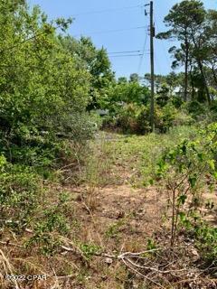 Lot #7 Sharlene Ln Inlet Beach Inlet Beach, FL 32461 - Photo 9 of 19
