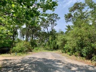 Lot #7 Sharlene Ln Inlet Beach Inlet Beach, FL 32461 - Photo 10 of 19