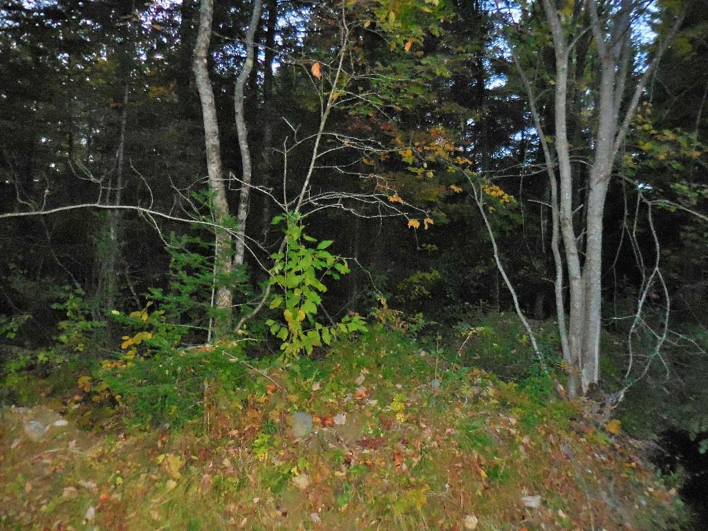 69-006 Bunker Hill Road Etna, ME 04434 - Photo 5 of 6 Photo