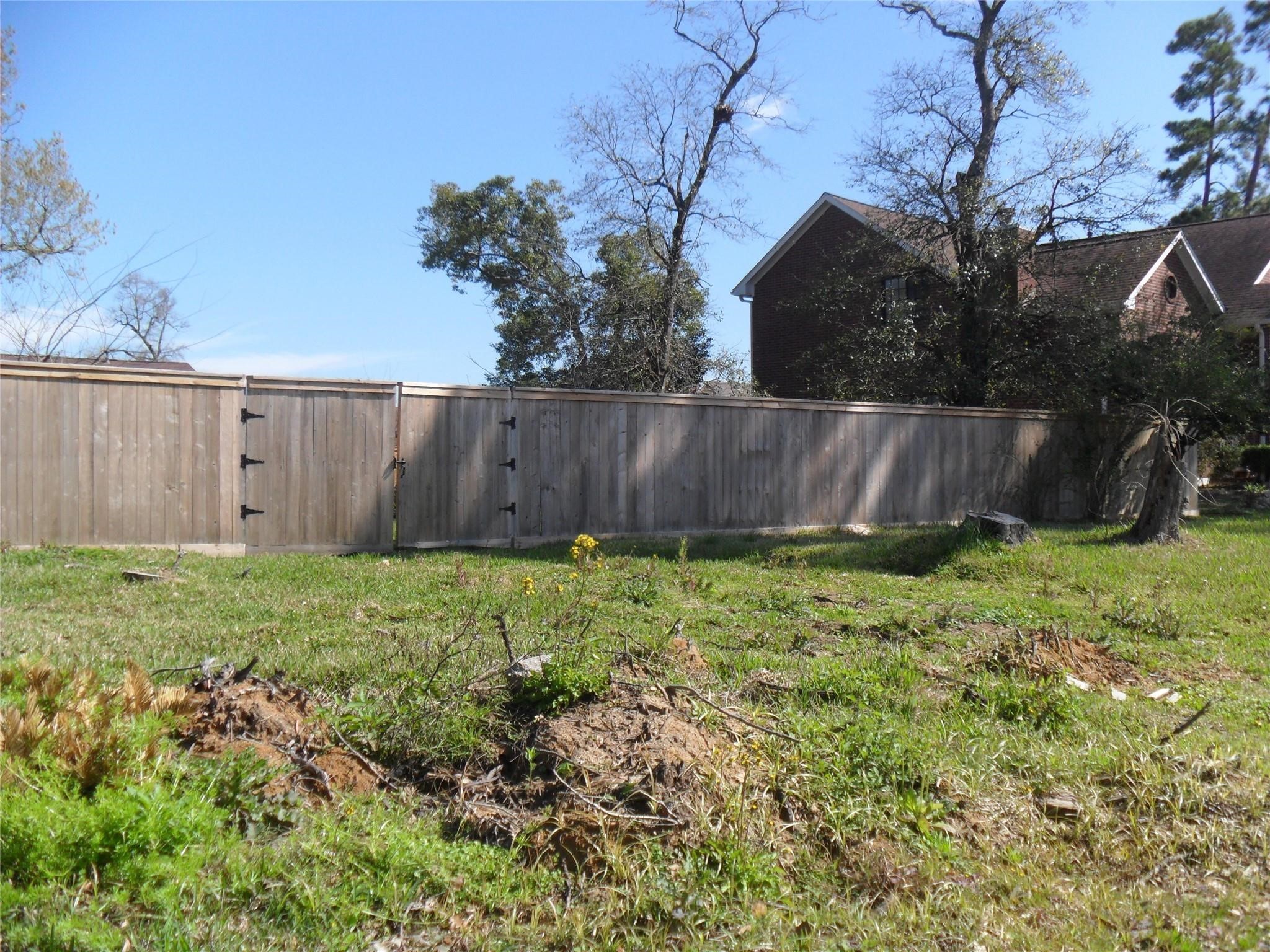 a view of a backyard
