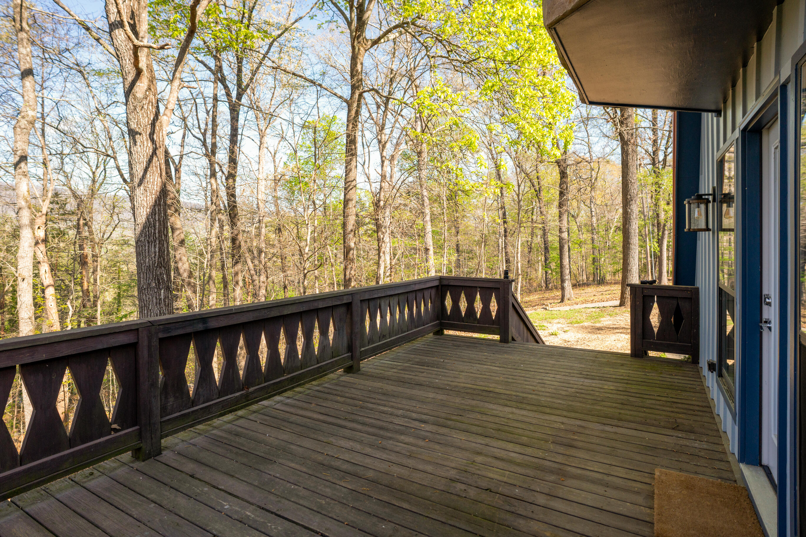 45 Daisy Lane Flintstone, GA 30725 - Photo 3 of 47 _DSC9363-Edit