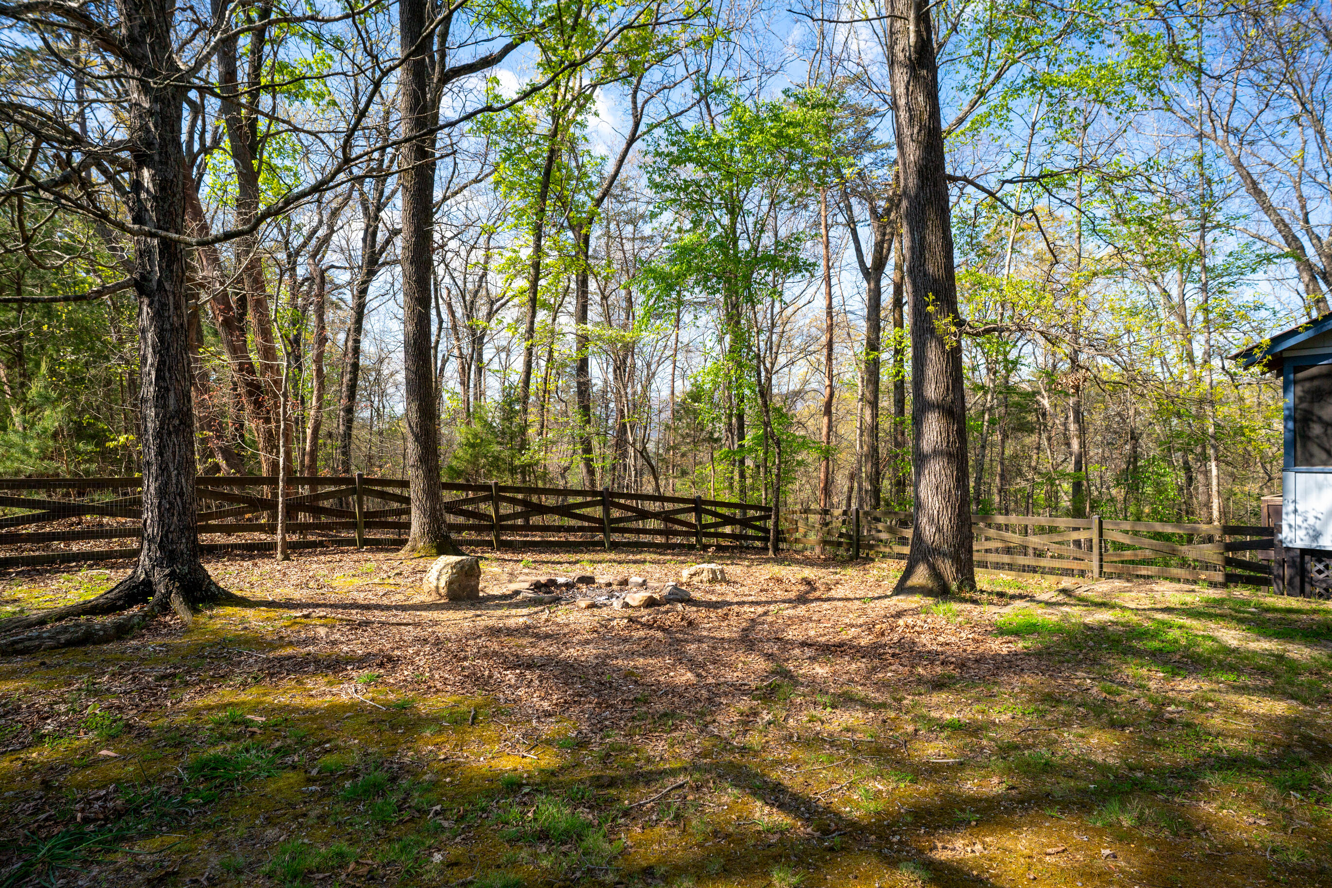 45 Daisy Lane Flintstone, GA 30725 - Photo 34 of 47 _DSC9474-Edit