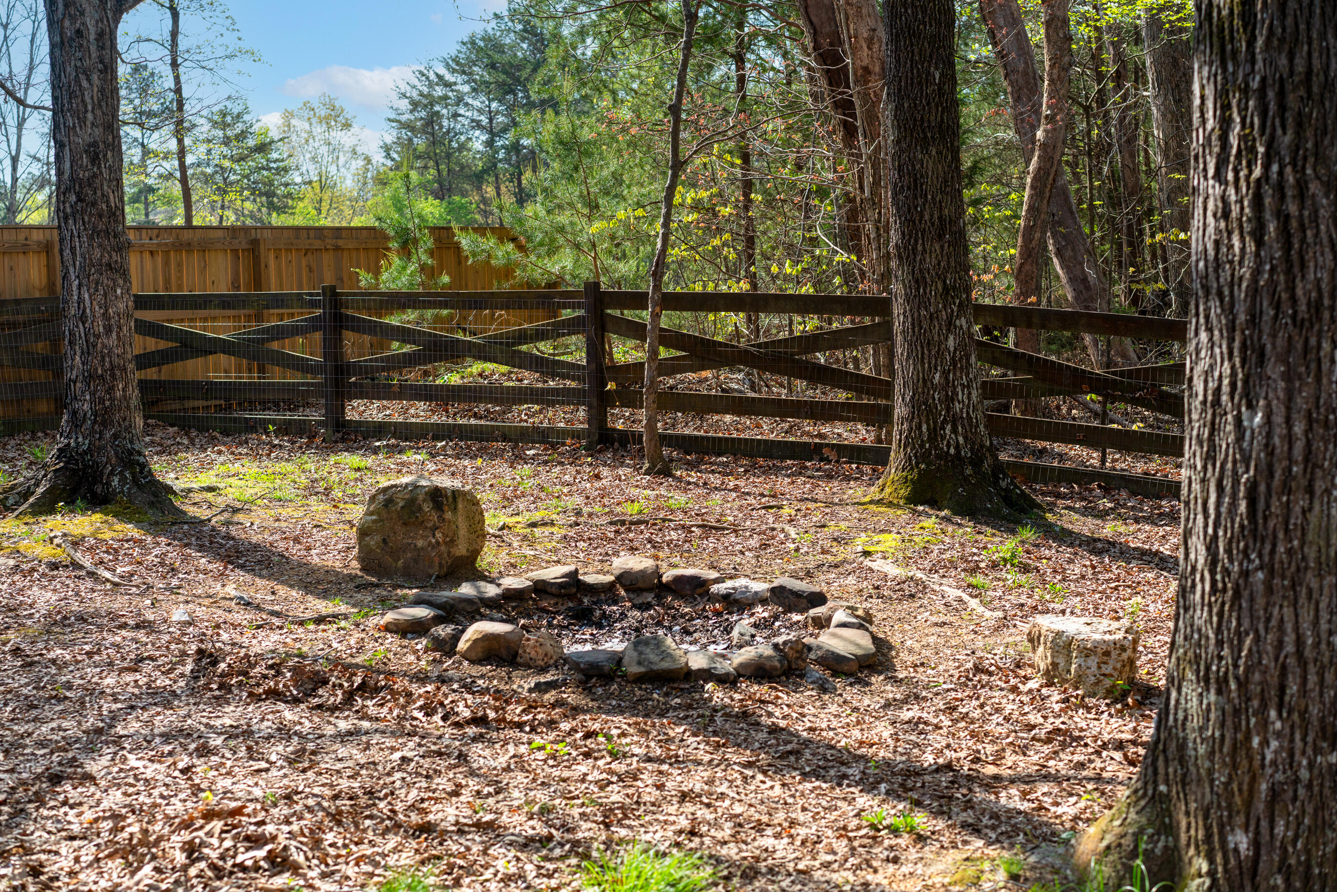 45 Daisy Lane Flintstone, GA 30725 - Photo 37 of 47 _DSC9484-Edit