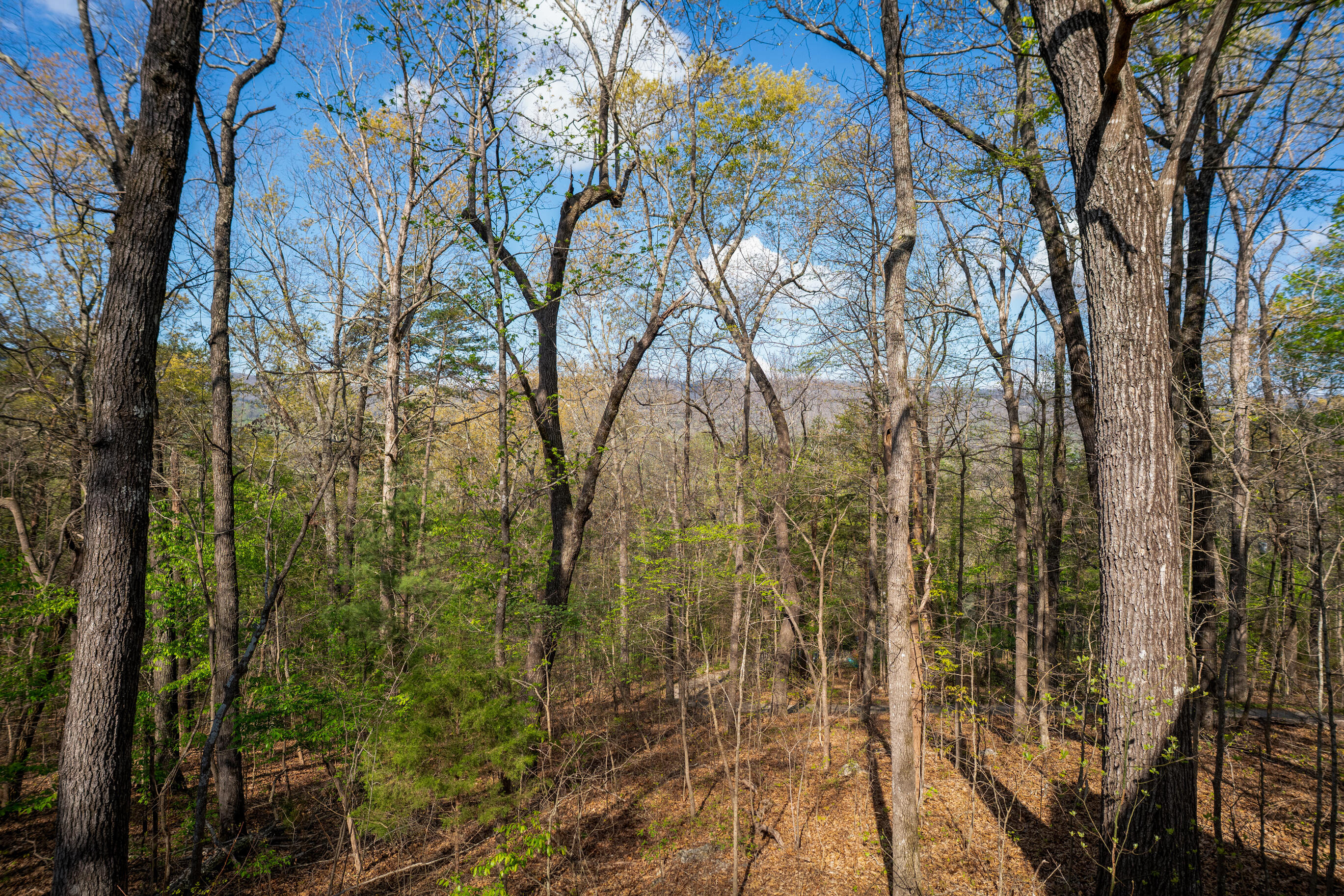 45 Daisy Lane Flintstone, GA 30725 - Photo 40 of 47 _DSC9494-Edit