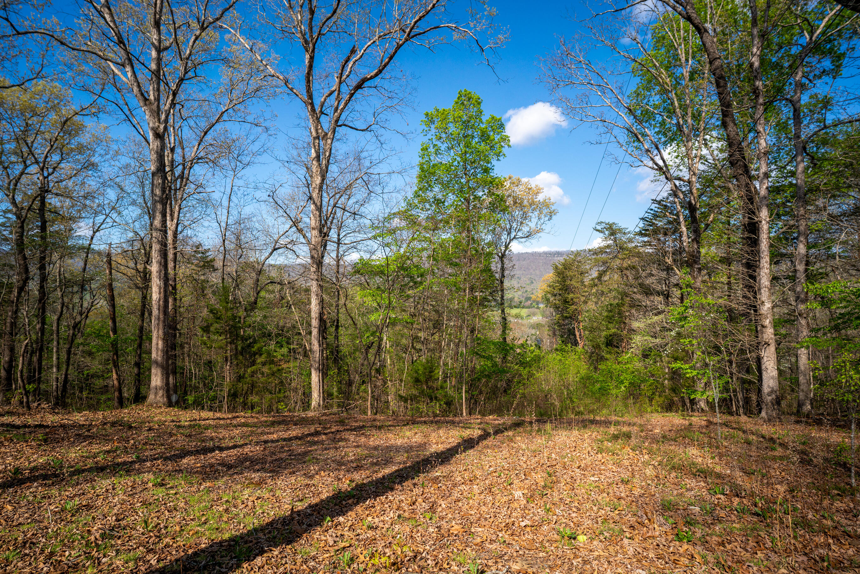 45 Daisy Lane Flintstone, GA 30725 - Photo 41 of 47 _DSC9497-Edit