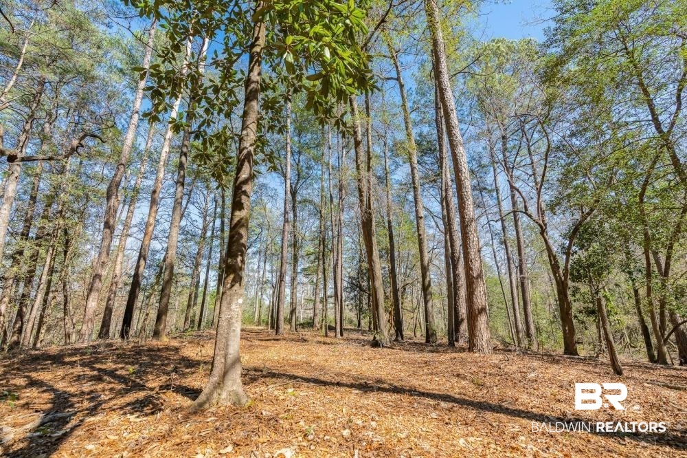 0 Private Road Millry, AL 36558 - Photo 42 of 50