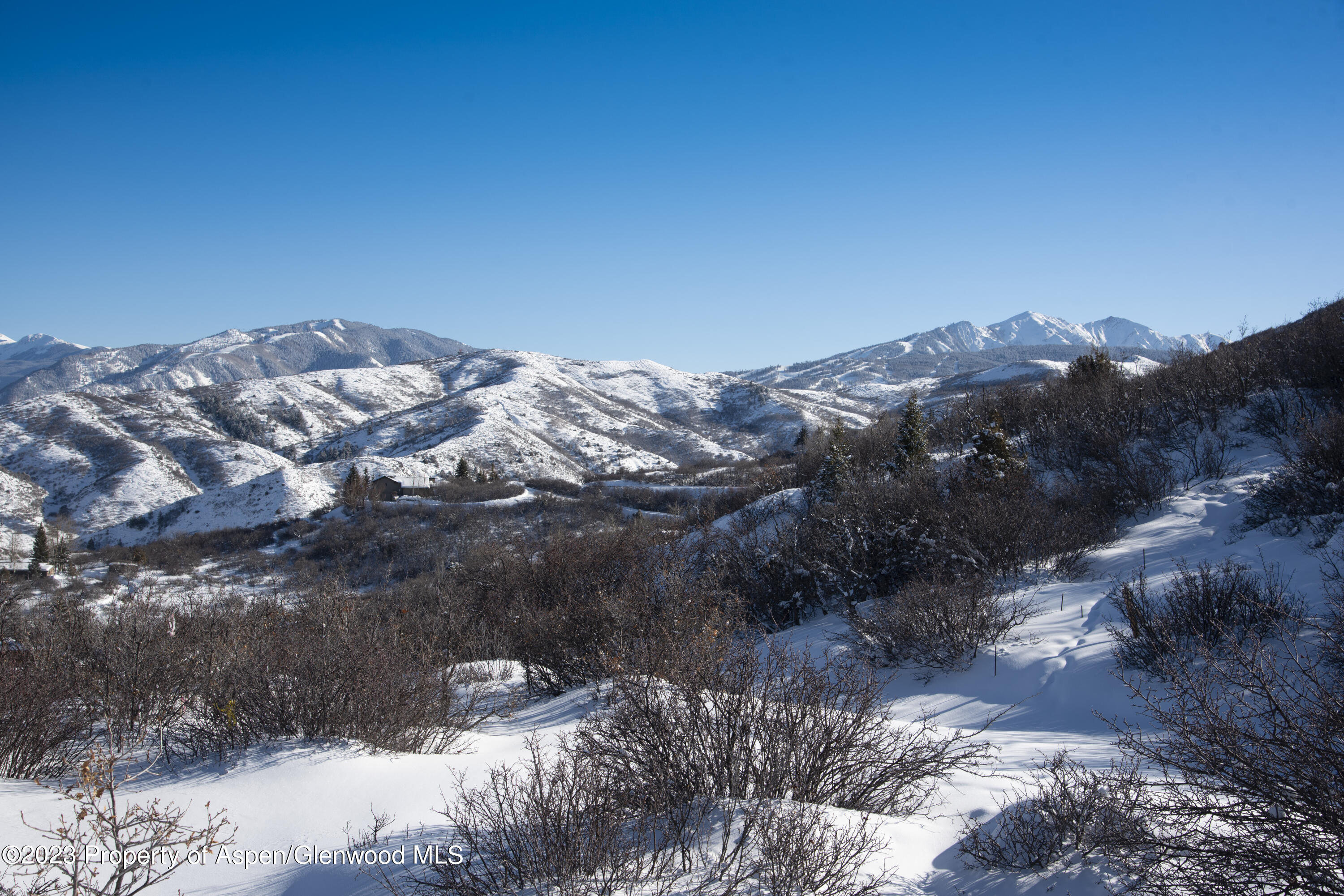 54 Red Tail Lane Aspen, CO 81611 - Photo 13 of 15 a view of a yard
