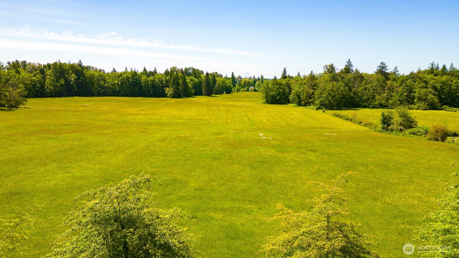 0 Pipeline Road Blaine, WA 98230 - Photo 4 of 18 a view of outdoor space and yard