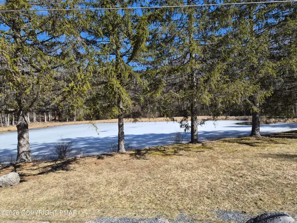 a view of a yard with trees