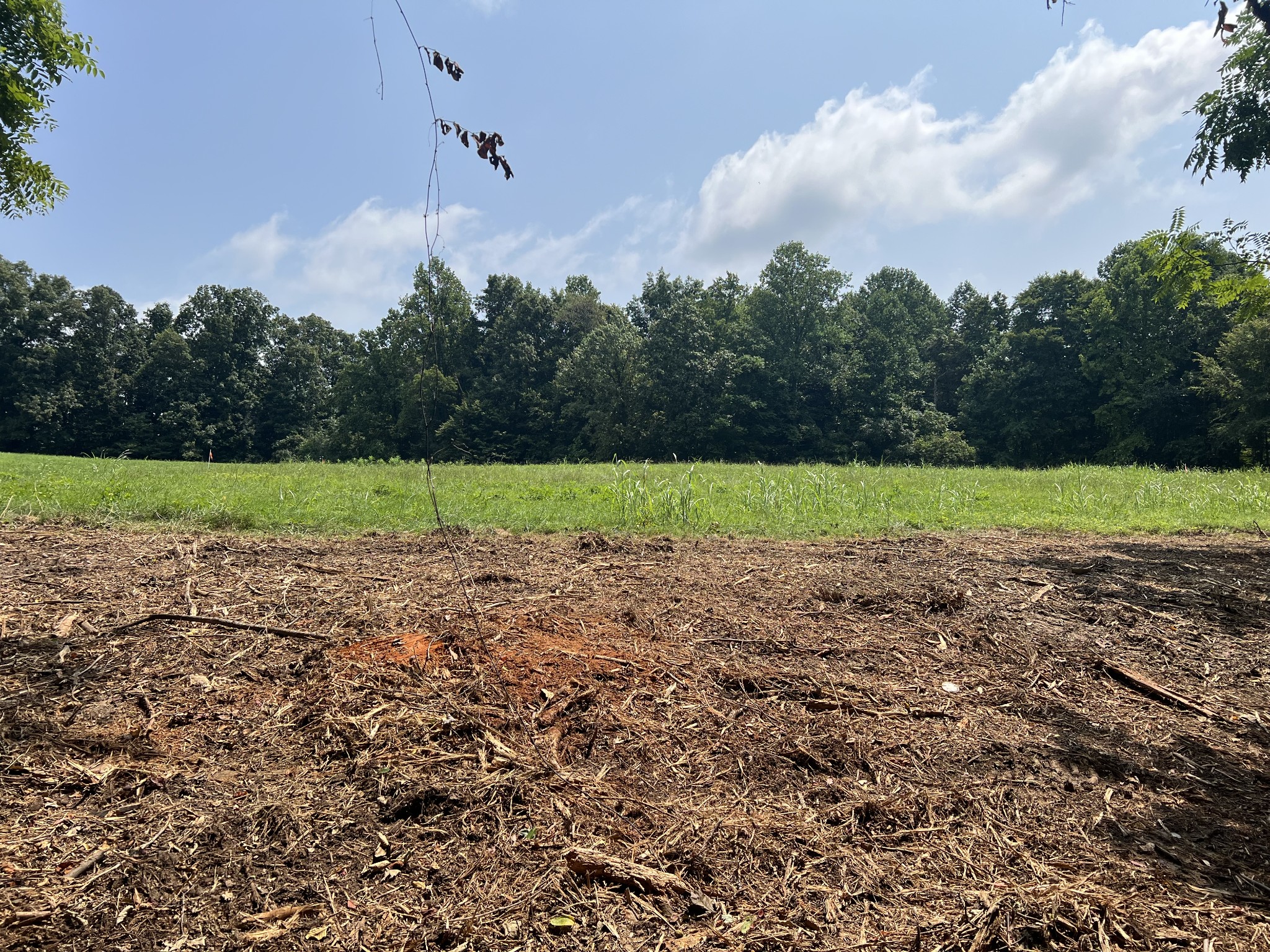 7 White Springs Road Lafayette, TN 37083 - Photo 1 of 3 Gallery Image 1