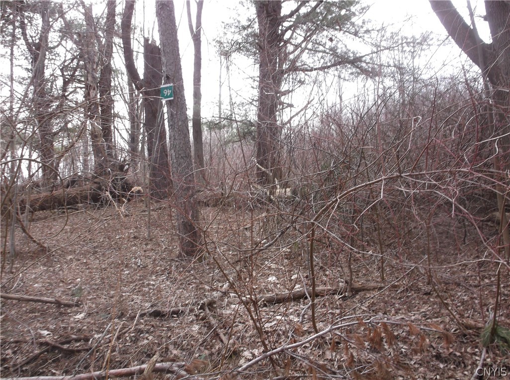 Lot 46 Irwin Road Sterling, NY 13156 - Photo 1 of 1 Gallery Image 1