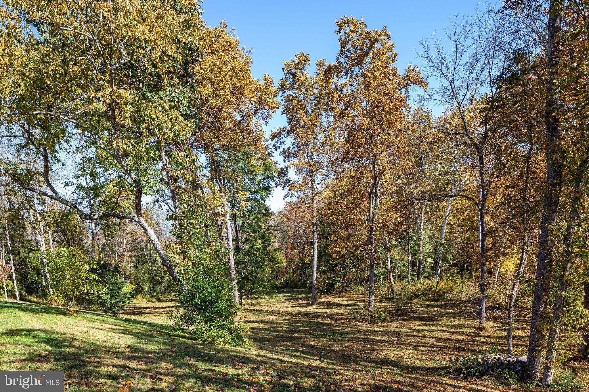 12450 Fort Valley Road Fort Valley, VA 22652 - Photo 61 of 79