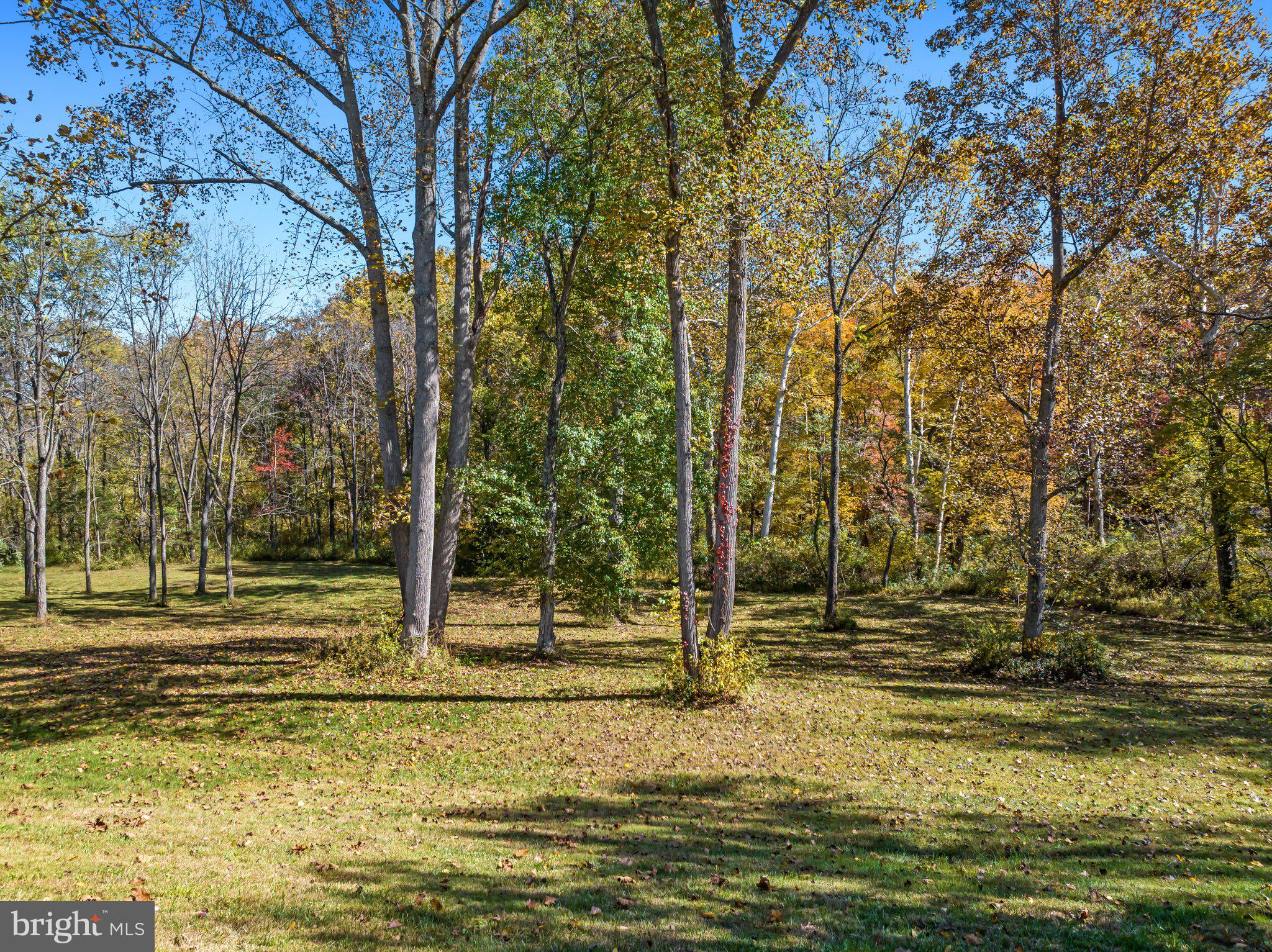 12450 Fort Valley Road Fort Valley, VA 22652 - Photo 74 of 79