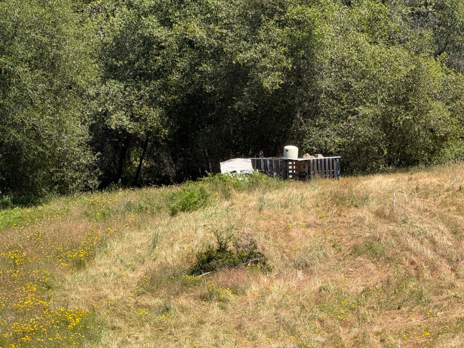 2322 Myrick Road Somerset, CA 95684 - Photo 22 of 30 a view of a field with a tree