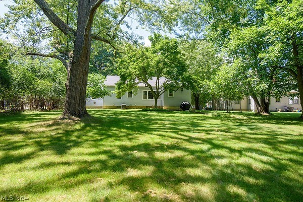 569 Miner Road Cleveland, OH 44143 - Photo 15 of 17