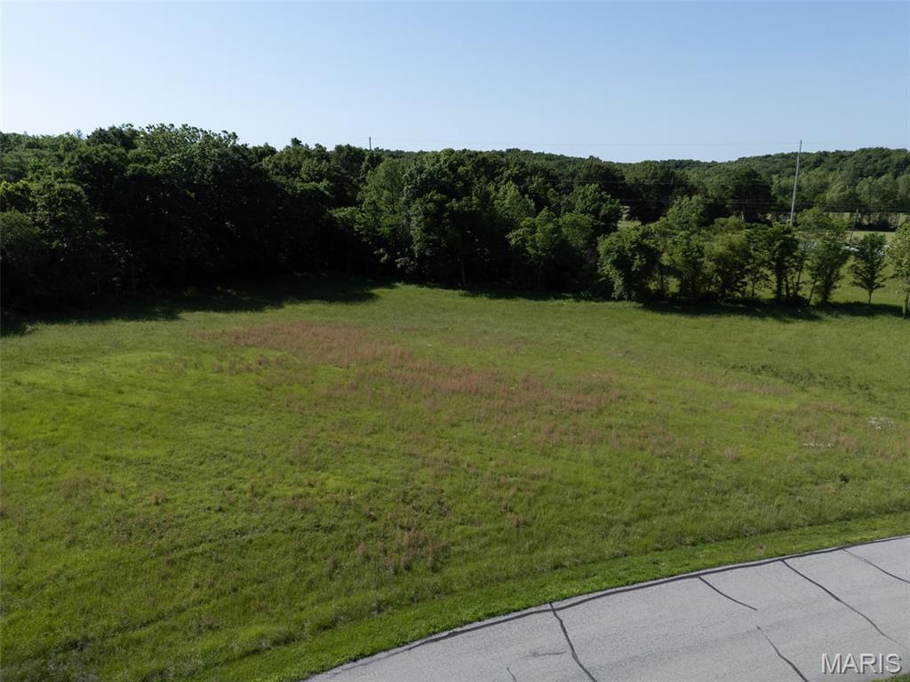 10 Parc Forest Trail Hawk Point, MO 63349 - Photo 3 of 5
