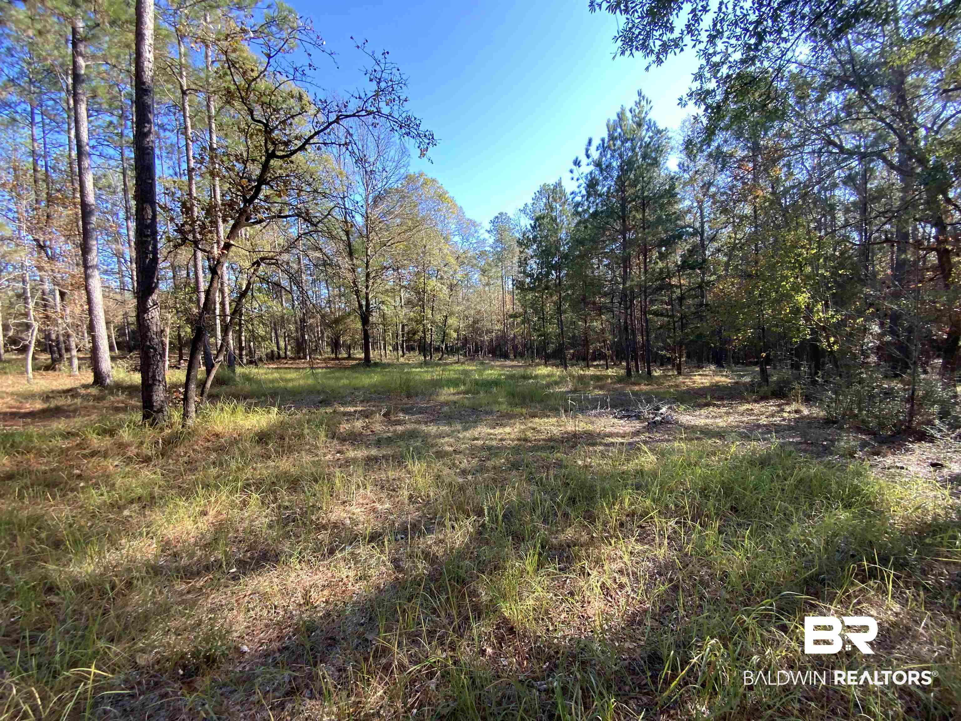 10 Drinkard Road Bay Minette, AL 36507 - Photo 10 of 16 View of yard featuring a wooded view