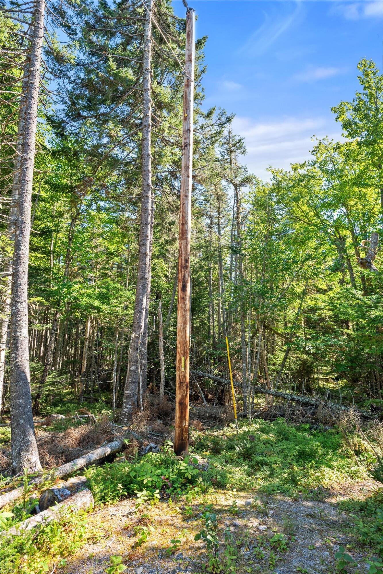 Lot 15 Ackley Road Cutler, ME 04626 - Photo 21 of 23 Lot 15 Ackley Rd. Cutler