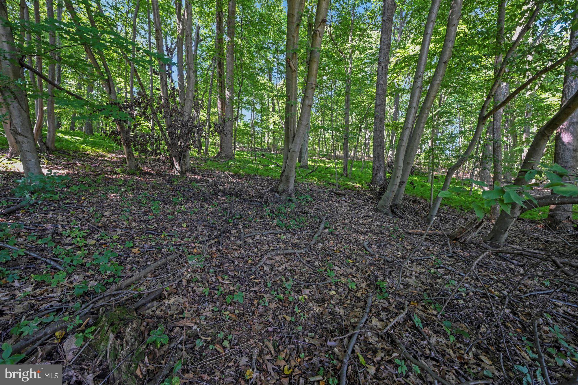 750 Taylor Road Windsor, PA 17366 - Photo 28 of 36