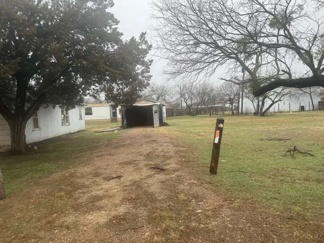 a view of a yard with a tree
