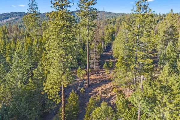 $440,000 | 28-xx Burnt Valley Road, Chewelah, WA 99109