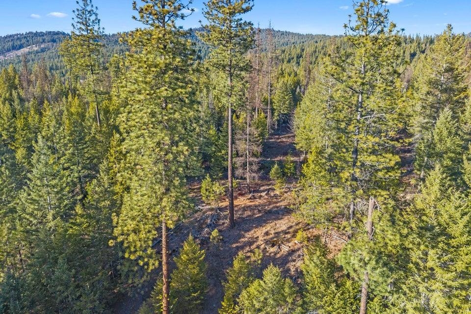 28-xx Burnt Valley Road Chewelah, WA 99109 - Photo 12 of 18