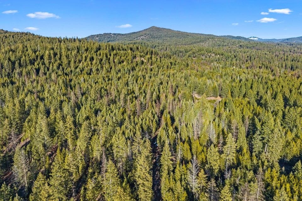 28-xx Burnt Valley Road Chewelah, WA 99109 - Photo 14 of 18