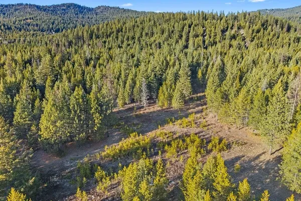 $440,000 | 28-xx Burnt Valley Road, Chewelah, WA 99109