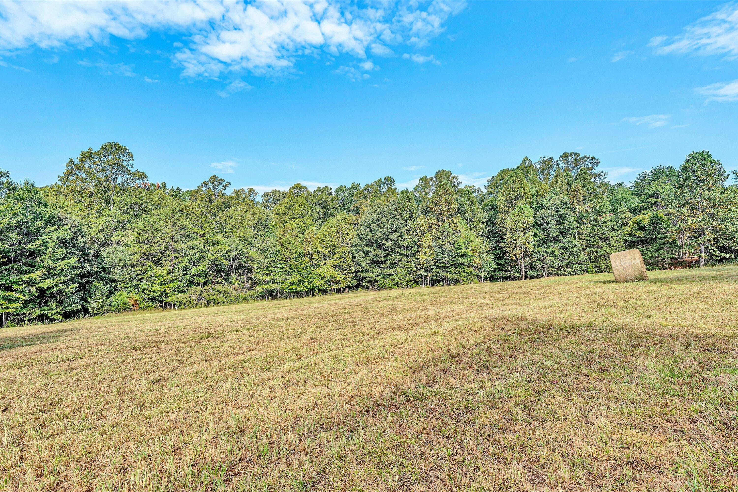 2 Pine Ridge Road Huddleston, VA 24104 - Photo 17 of 25 Pine Ridge Road (27)
