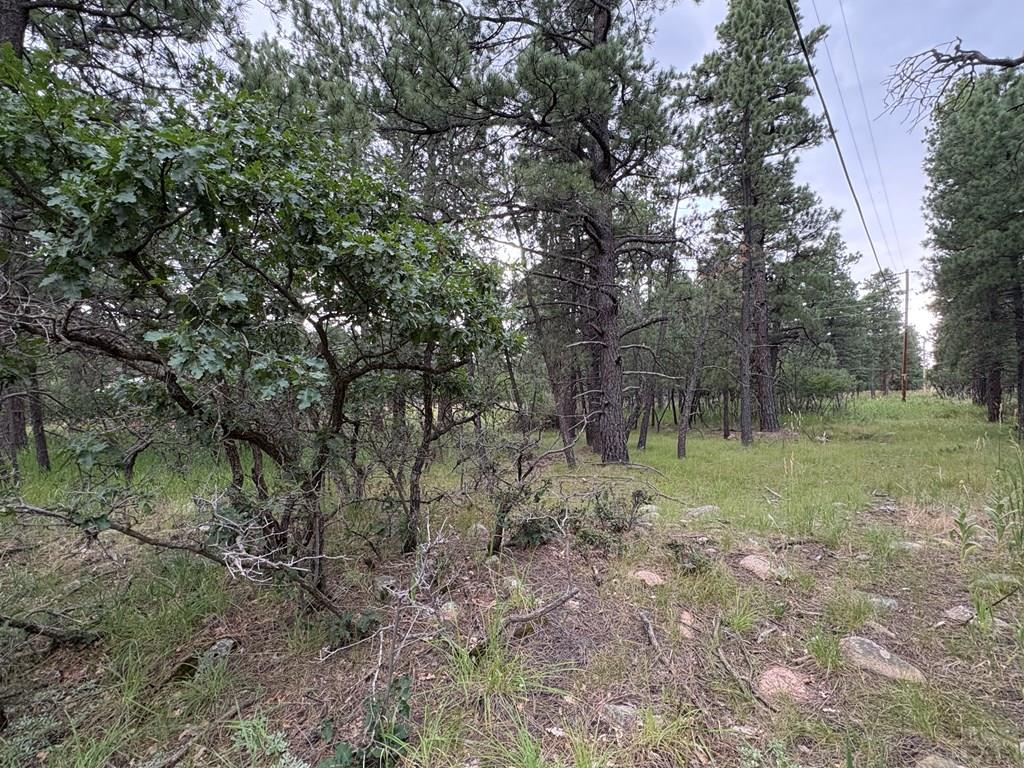 Tbd Birch Drive Rye, CO 81069 - Photo 5 of 7 Gallery Image 5