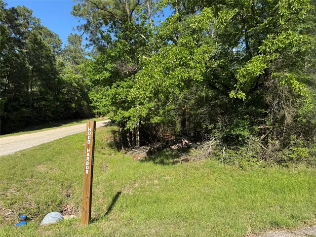a view of a tree in a yard