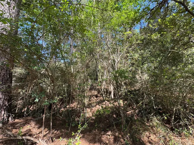 a view of a house in a forest