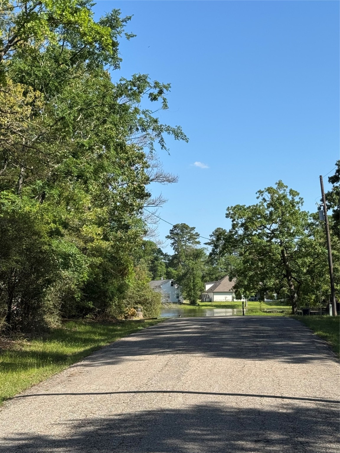 15 Wood Harbor Trinity, TX 75862 - Photo 9 of 10 a view of a yard