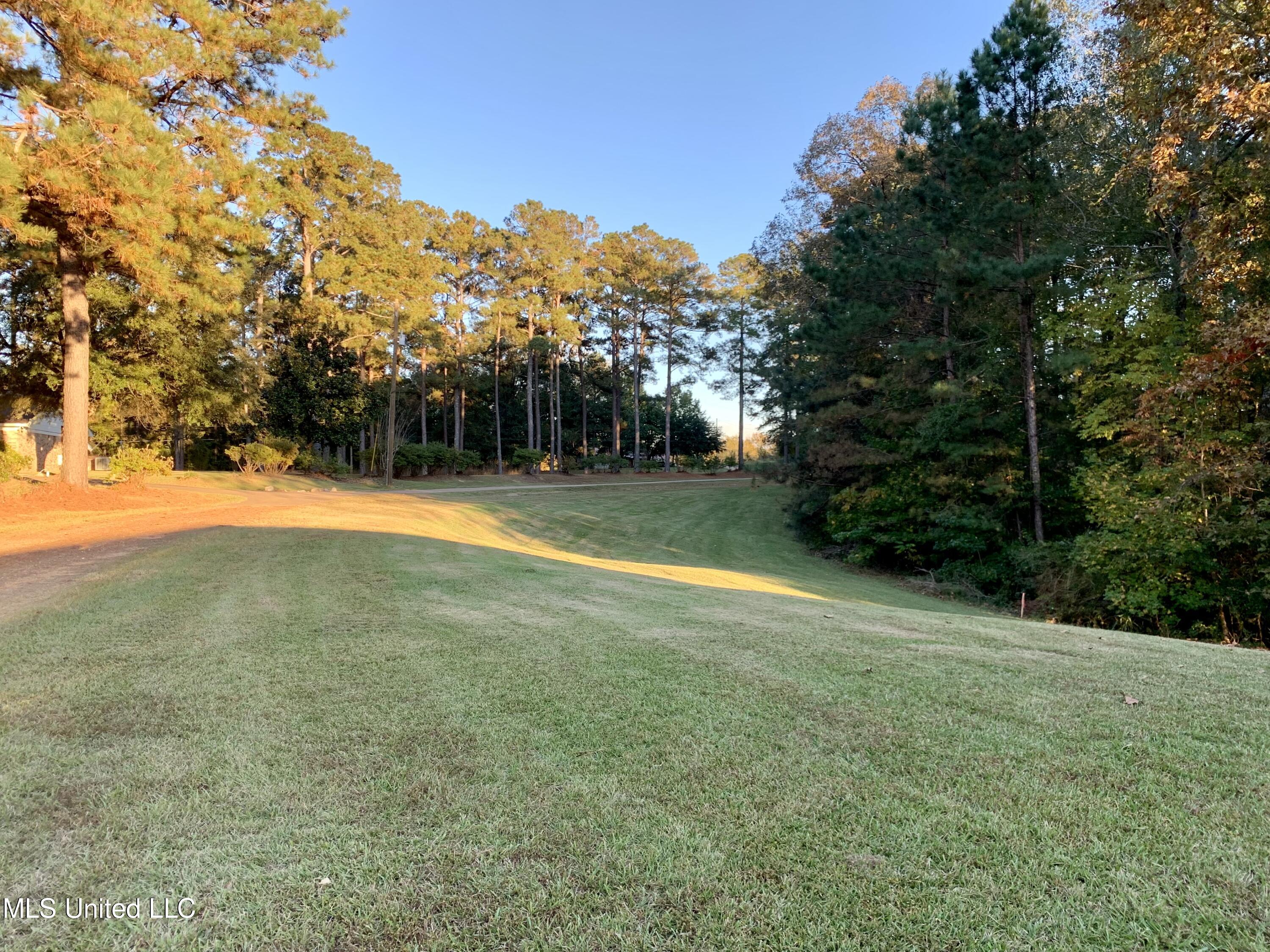 1089 Gallatin Road Crystal Springs, MS 39059 - Photo 36 of 40 90906B8C-FD1A-4C15-B74F-A0FEDBA0BA5D