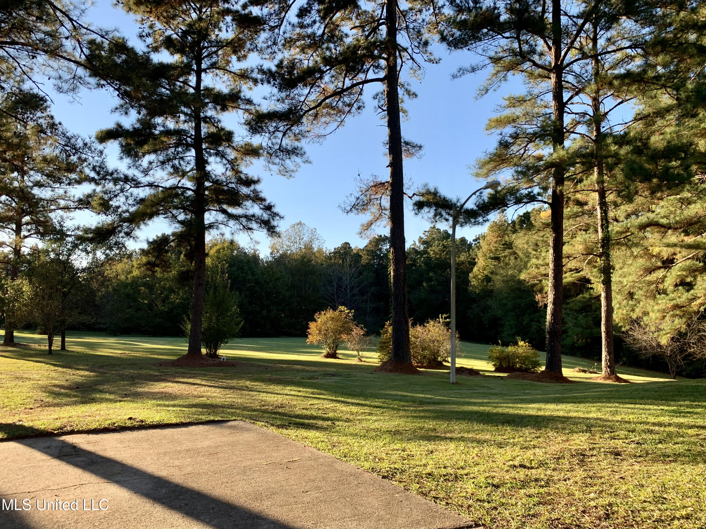 1089 Gallatin Road Crystal Springs, MS 39059 - Photo 8 of 40 116AF80D-465C-4AE5-B7E5-AE2DEBDCC4F1