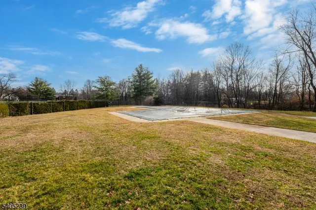 a view of swimming pool with trees