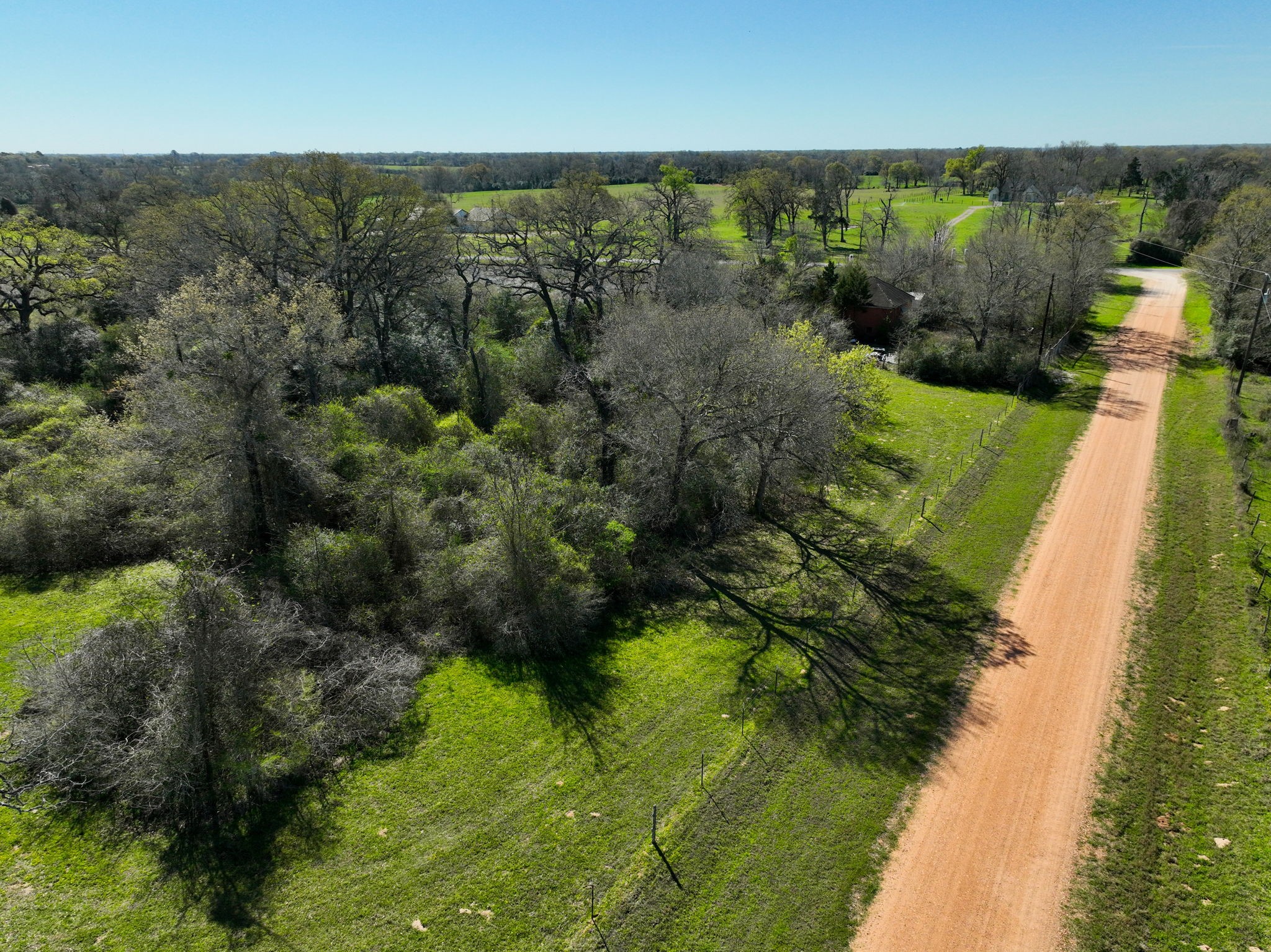 21100 Telephone Road Hempstead, TX 77445 - Photo 11 of 34 a view of a garden with plants and large trees