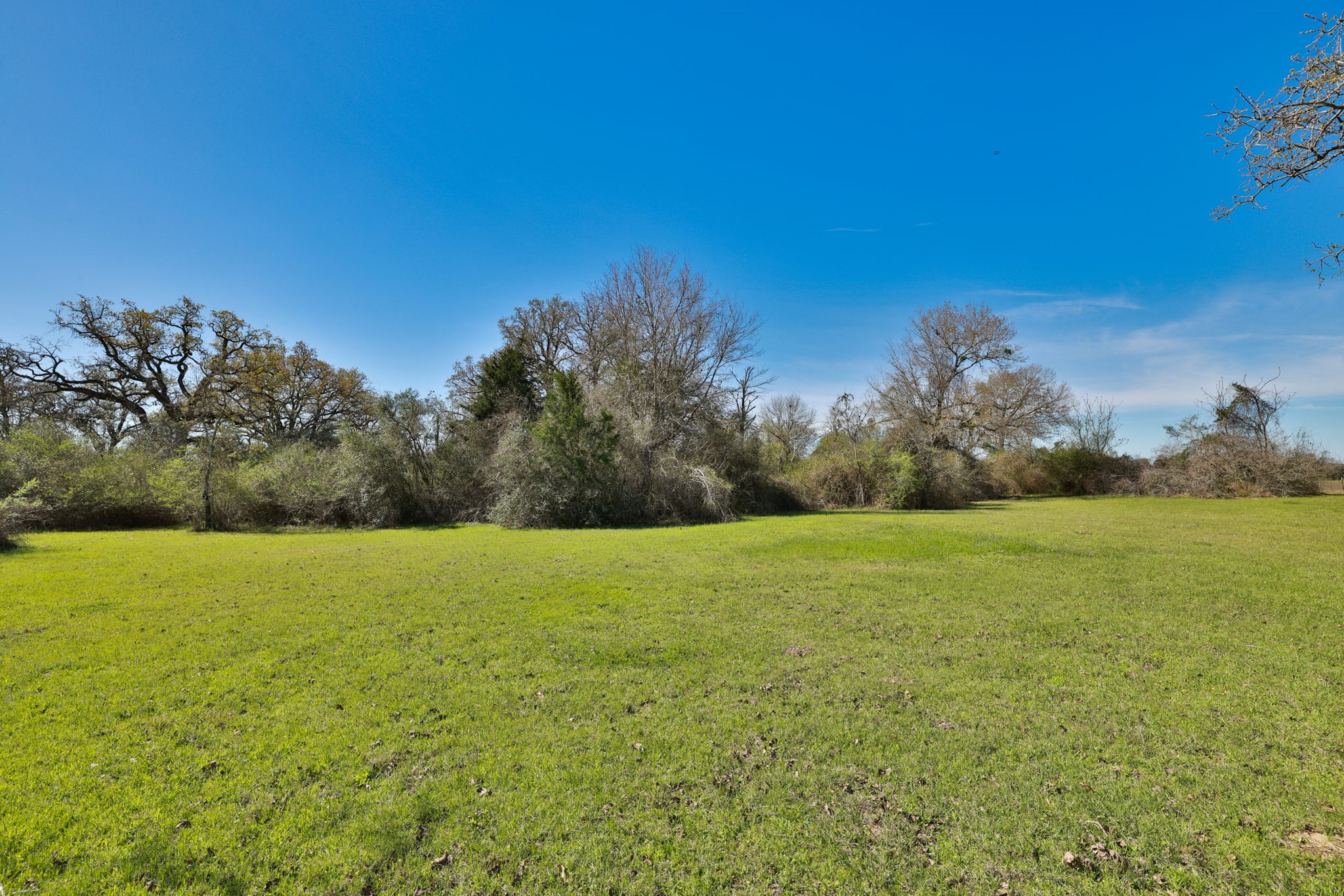 21100 Telephone Road Hempstead, TX 77445 - Photo 22 of 34 a view of big yard with a yard