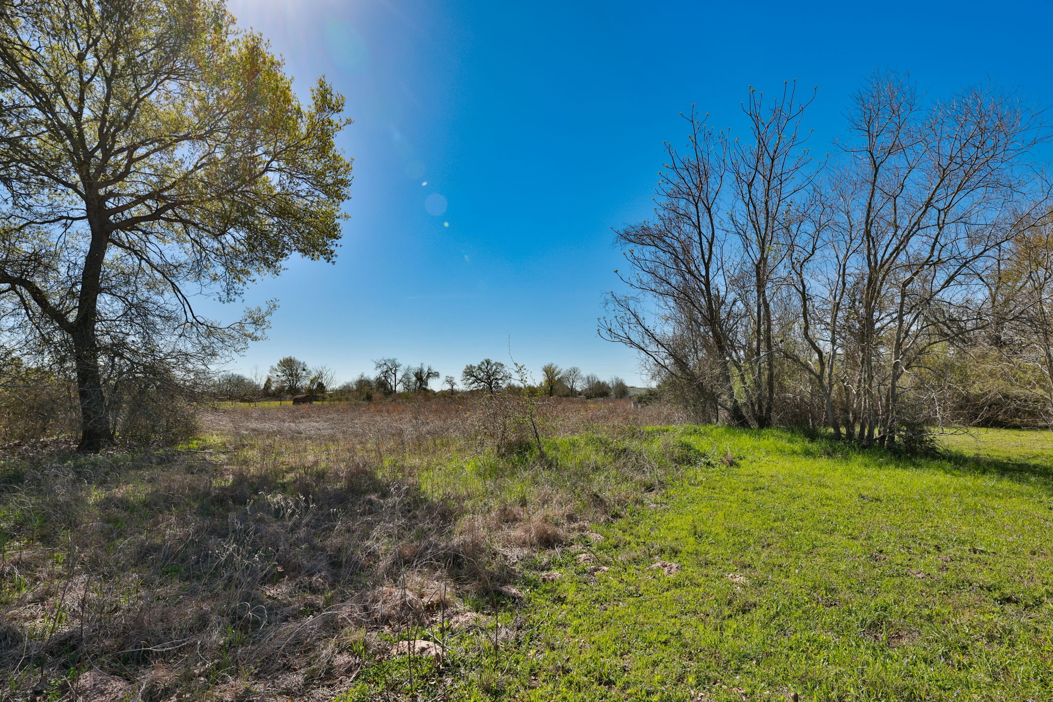 21100 Telephone Road Hempstead, TX 77445 - Photo 23 of 34 a view of a yard with an trees