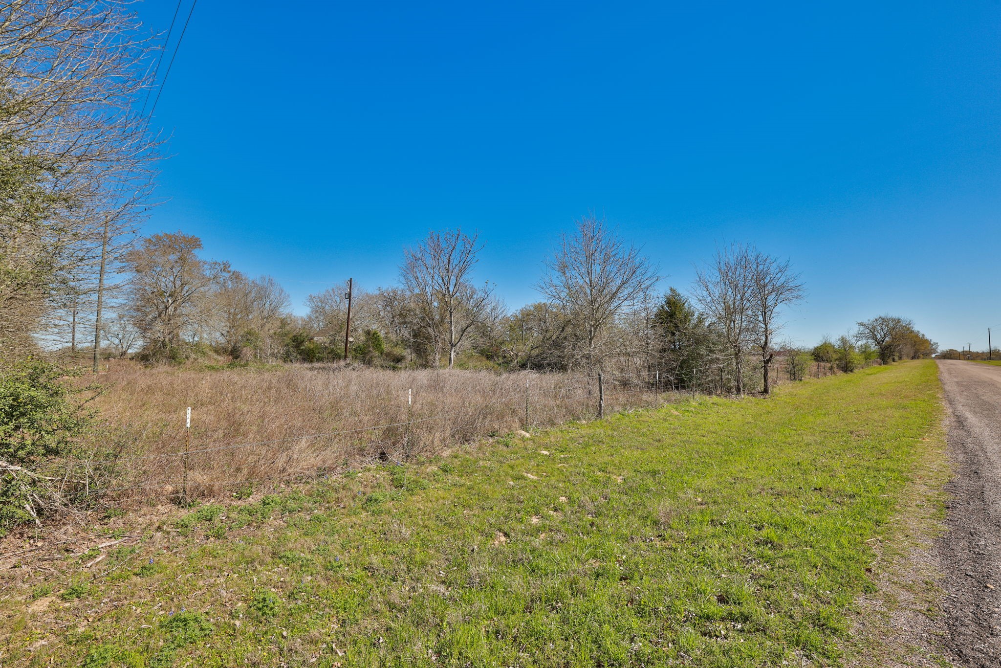 21100 Telephone Road Hempstead, TX 77445 - Photo 26 of 34 a view of large yard with large trees