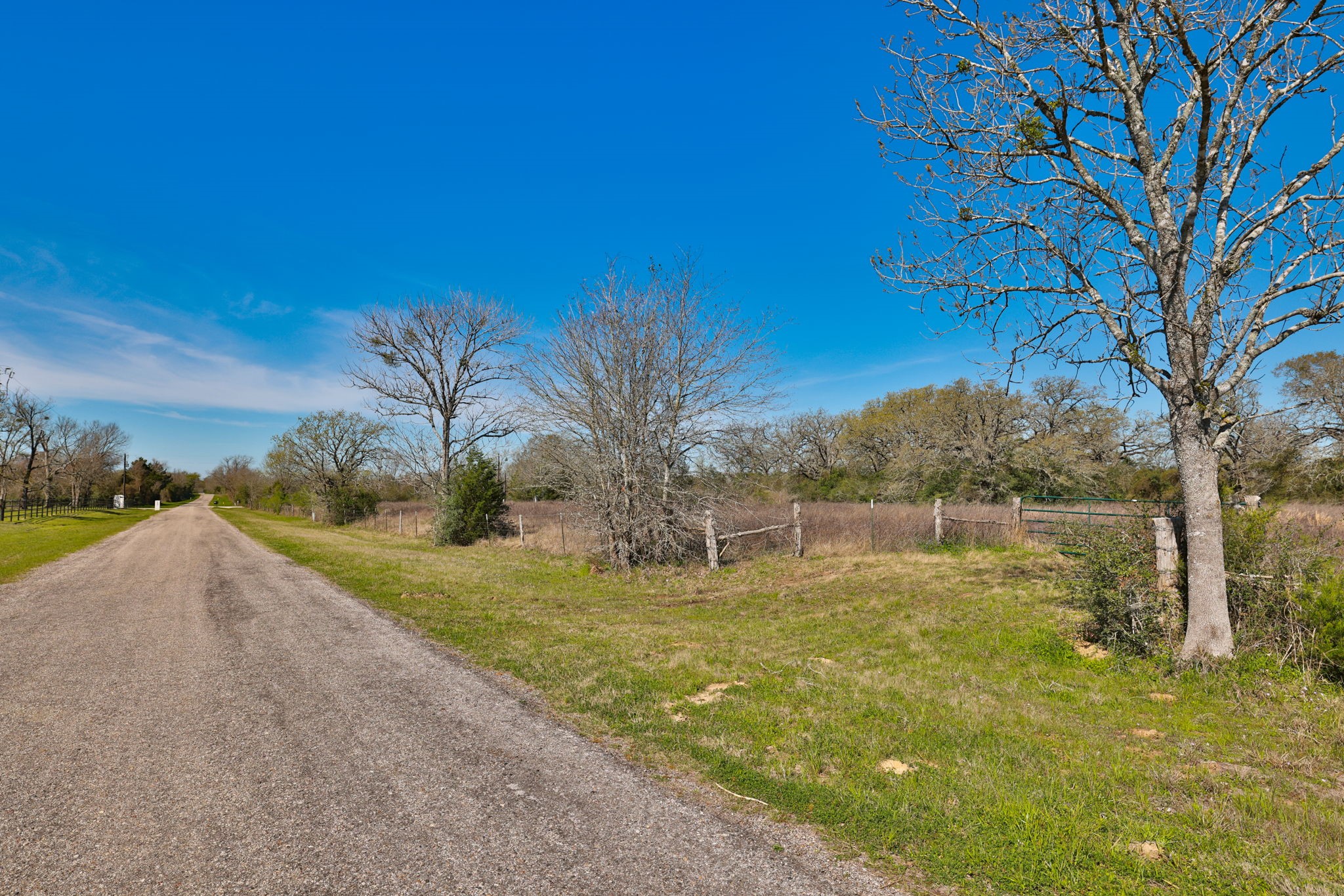 21100 Telephone Road Hempstead, TX 77445 - Photo 27 of 34 a view of back yard of the house