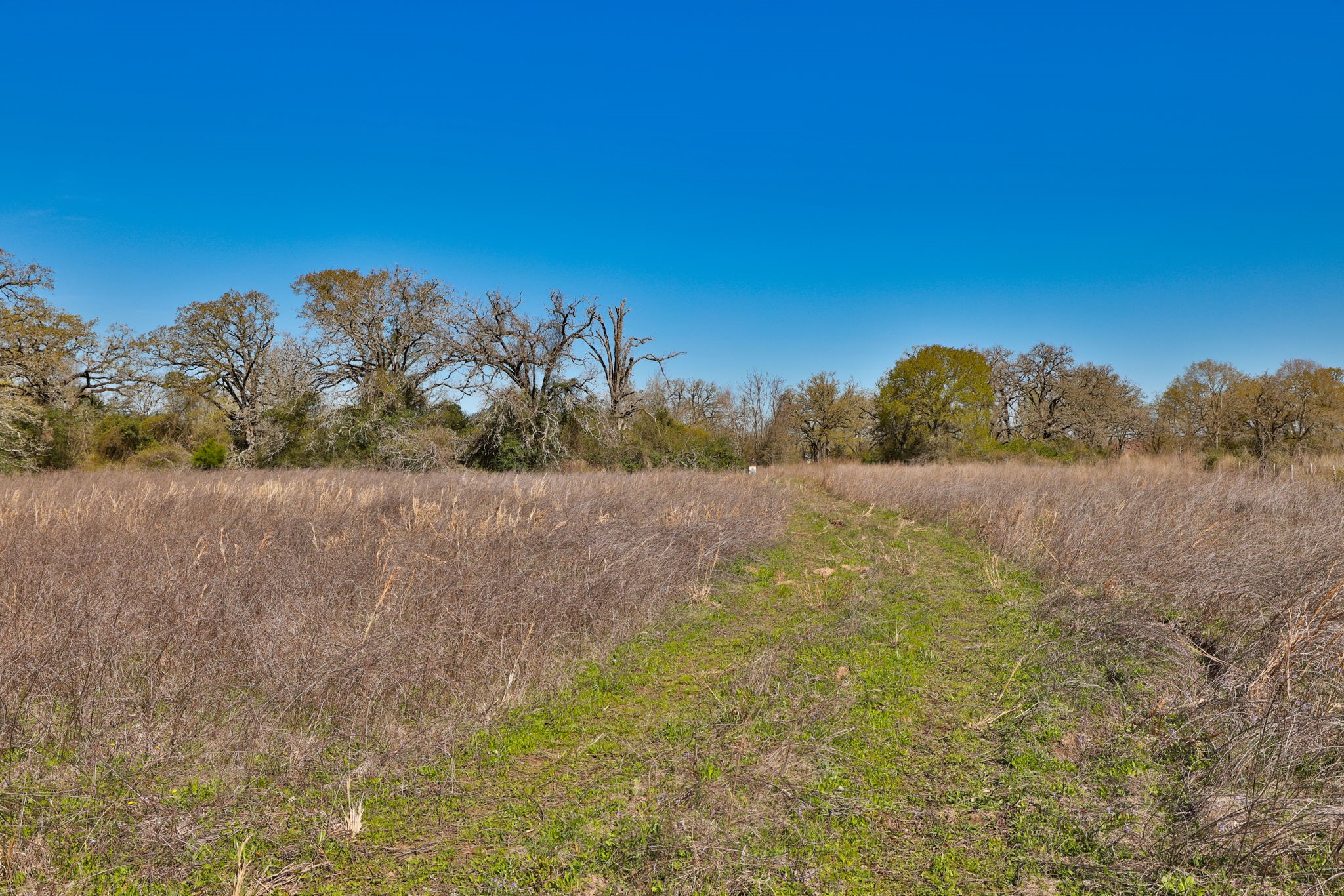 21100 Telephone Road Hempstead, TX 77445 - Photo 28 of 34 a view of a field with trees in background