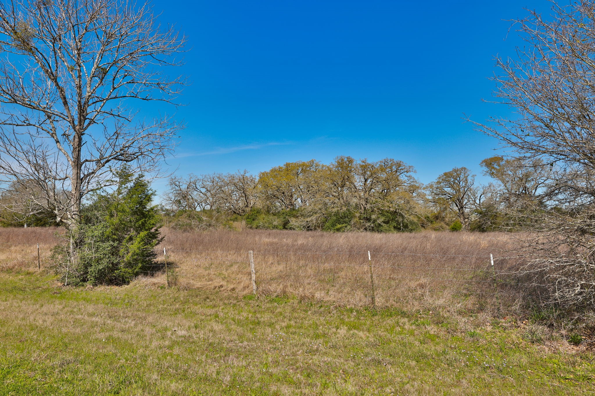 21100 Telephone Road Hempstead, TX 77445 - Photo 29 of 34 a view of a yard