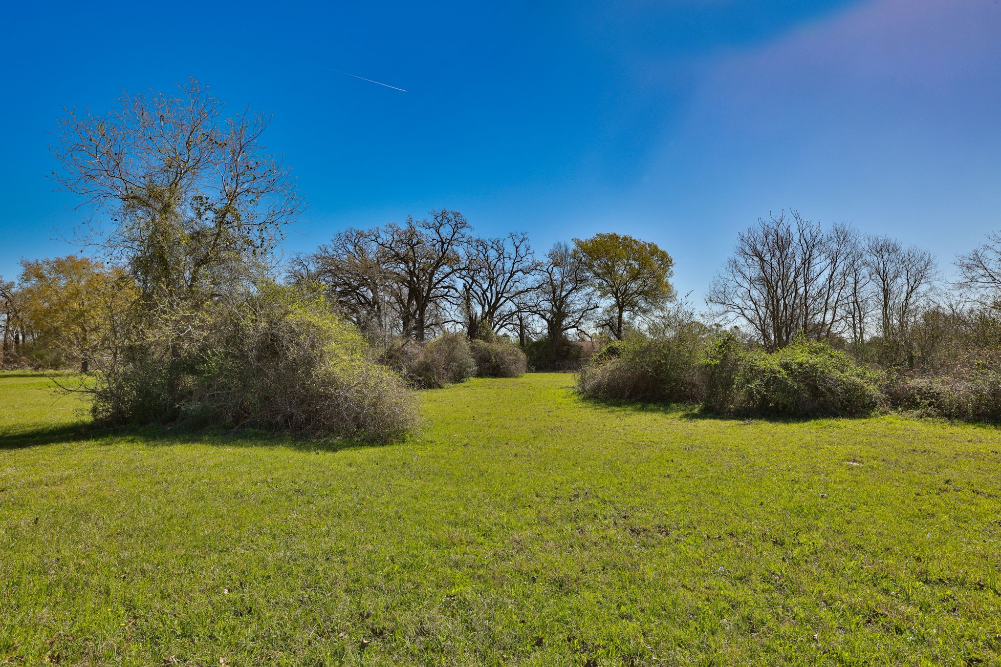 21100 Telephone Road Hempstead, TX 77445 - Photo 3 of 34 a view of a field with an ocean